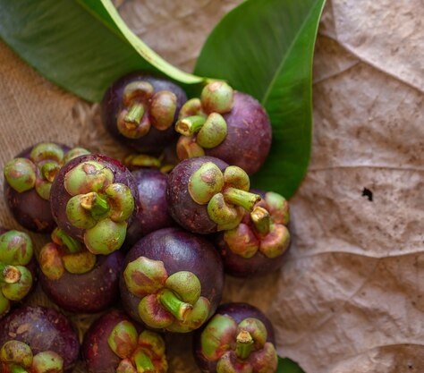 Mangosteen